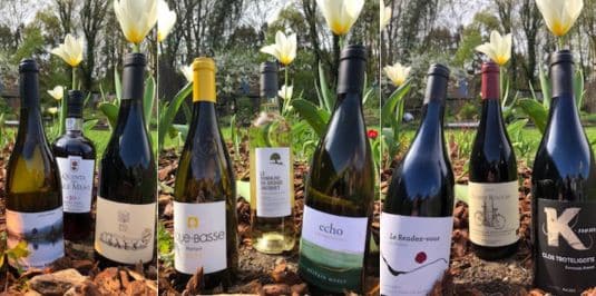 Festival "VIns ensoleillés" 10 et 11 avril 2026 à L'Atelier de La Fée Pompette à Seraing